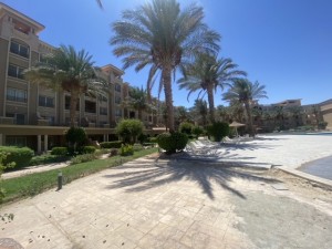 image14 (1).jpeg